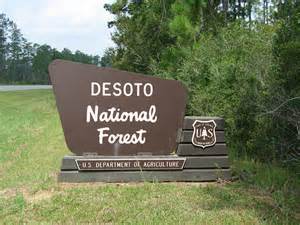 DeSoto Sign